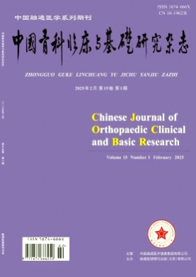 中国骨科临床与基础研究杂志杂志
